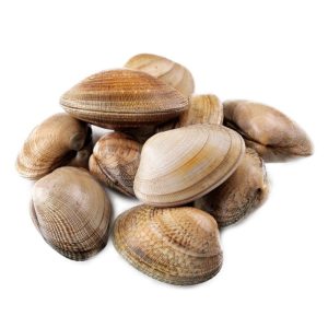 selectamar_pescado_marisco_domicilio_gourmet_almeja_fina_gallega_1