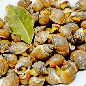 selectamar_pescado_marisco_domicilio_gourmet_bígaro_2