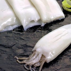 selectamar_pescado_marisco_domicilio_gourmet_calamar_congelado_1