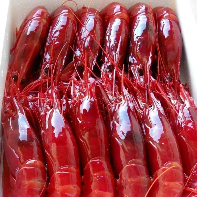selectamar_pescado_marisco_domicilio_gourmet_carabinero_congelado_1