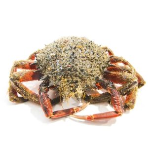 selectamar_pescado_marisco_domicilio_gourmet_centolla_1