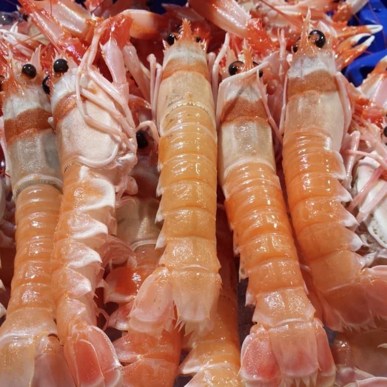 selectamar_pescado_marisco_domicilio_gourmet_cigala_1