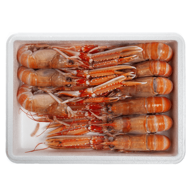 selectamar_pescado_marisco_domicilio_gourmet_cigala_congelada_1