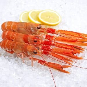 selectamar_pescado_marisco_domicilio_gourmet_cigala_congelada_2