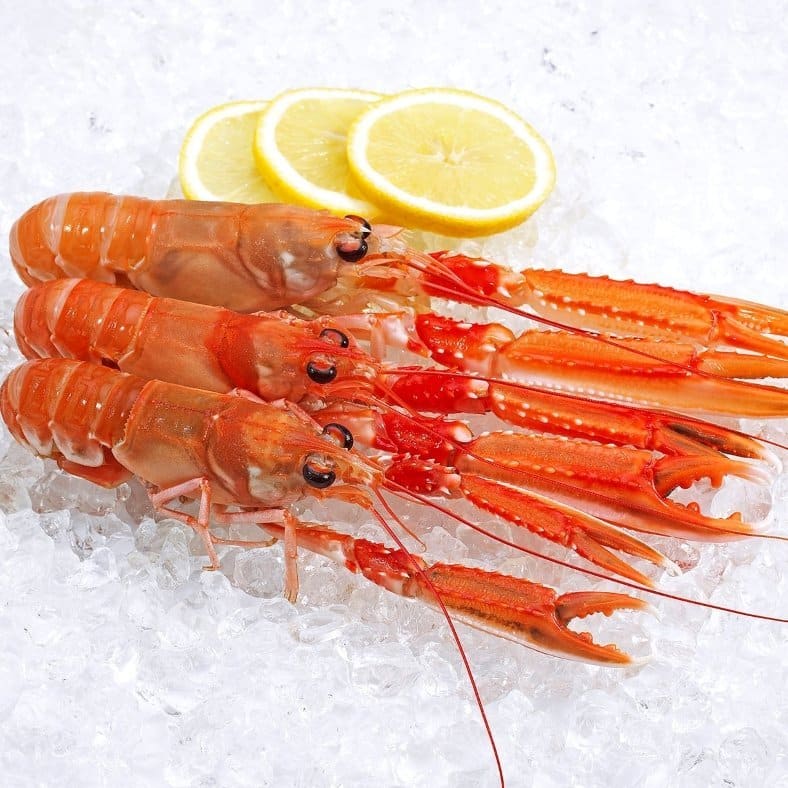 selectamar_pescado_marisco_domicilio_gourmet_cigala_congelada_2