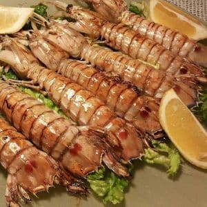 selectamar_pescado_marisco_domicilio_gourmet_galera_fresca_2