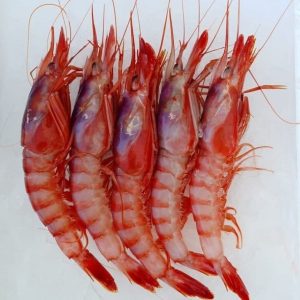 selectamar_pescado_marisco_domicilio_gourmet_gamba_roja_alistado_1