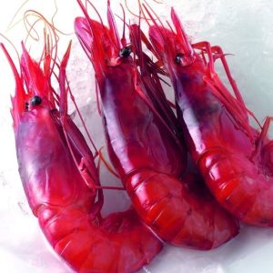 selectamar_pescado_marisco_domicilio_gourmet_gamba_roja_fresca_1
