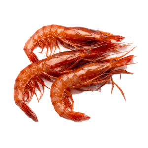 selectamar_pescado_marisco_domicilio_gourmet_gamba_roja_fresca_grande