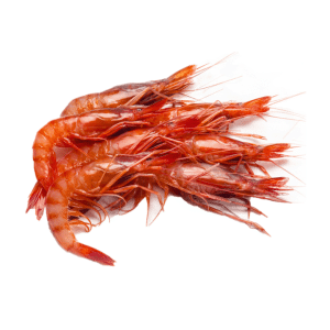 selectamar_pescado_marisco_domicilio_gourmet_gamba_roja_fresca_mediana