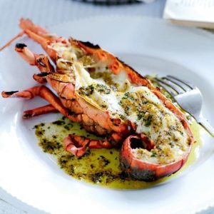 selectamar_pescado_marisco_domicilio_gourmet_langosta_viva_2
