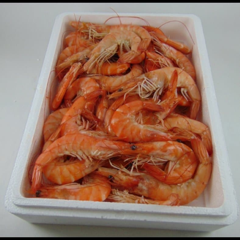 selectamar_pescado_marisco_domicilio_gourmet_langostino_cocido_2