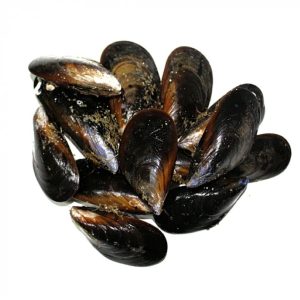 selectamar_pescado_marisco_domicilio_gourmet_mejillón_gallego_1