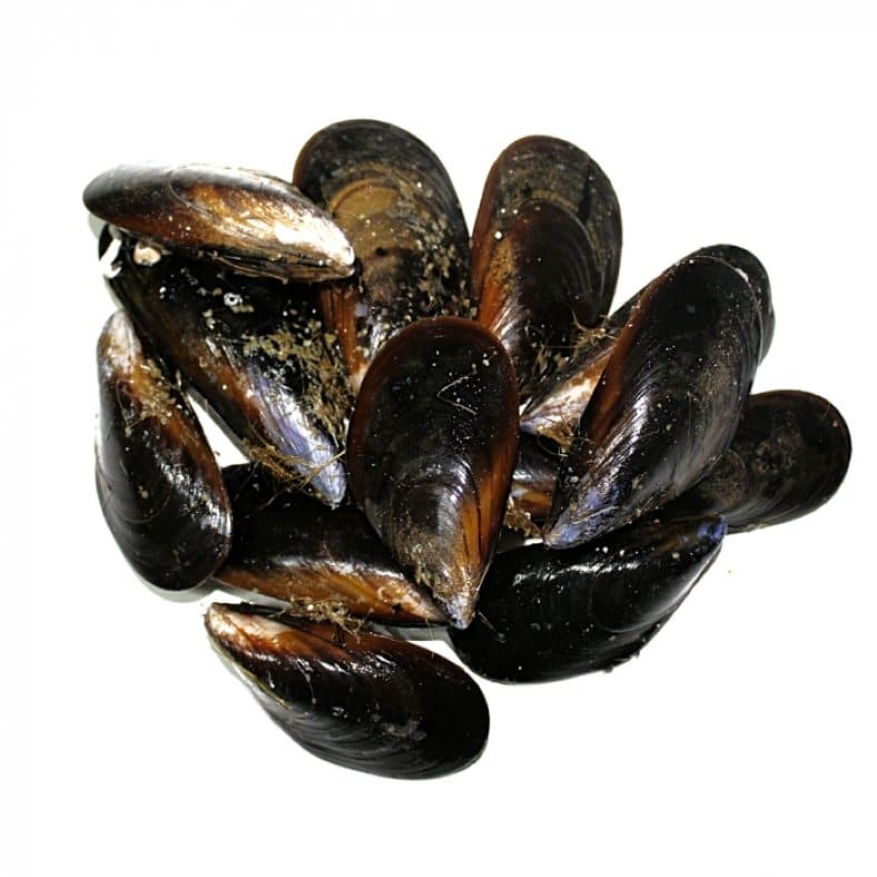 selectamar_pescado_marisco_domicilio_gourmet_mejillón_gallego_1
