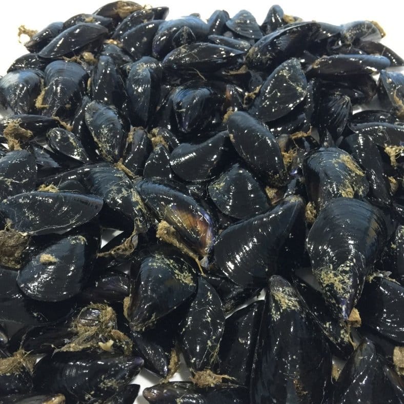 selectamar_pescado_marisco_domicilio_gourmet_mejillón_gallego_3
