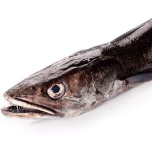 selectamar_pescado_marisco_domicilio_gourmet_merluza_pincho_palangre_1