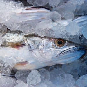 selectamar_pescado_marisco_domicilio_gourmet_merluza_pincho_palangre_4