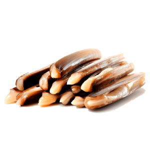selectamar_pescado_marisco_domicilio_gourmet_navaja_gallega_1