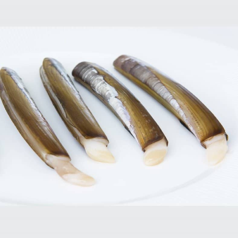 selectamar_pescado_marisco_domicilio_gourmet_navaja_gallega_2