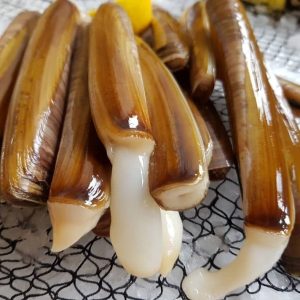 selectamar_pescado_marisco_domicilio_gourmet_navaja_gallega_3