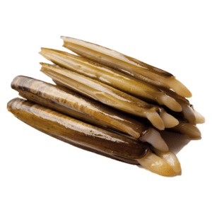 selectamar_pescado_marisco_domicilio_gourmet_navaja_holanda_1