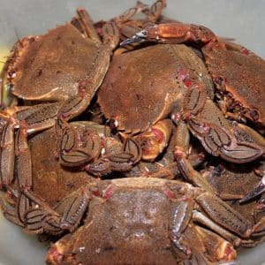 selectamar_pescado_marisco_domicilio_gourmet_nécora_viva_2