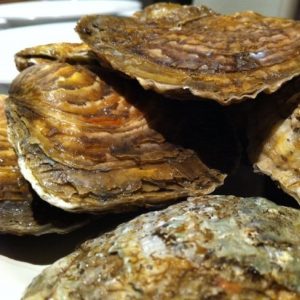 selectamar_pescado_marisco_domicilio_gourmet_ostra_gallega_superking