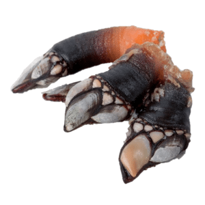 selectamar_pescado_marisco_domicilio_gourmet_percebe_2