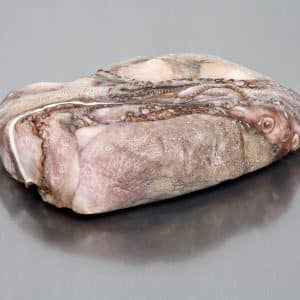 selectamar_pescado_marisco_domicilio_gourmet_pulpo_entero_3