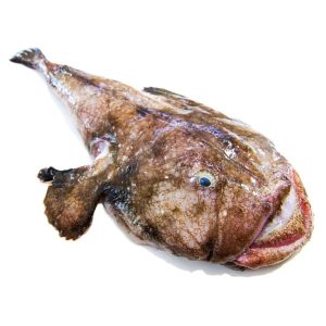 selectamar_pescado_marisco_domicilio_gourmet_rape_1