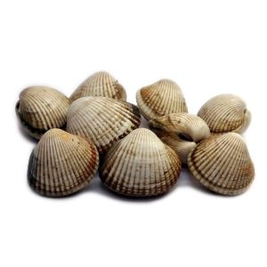 selectamar_pescado_marisco_domicilio_gourmet_berberecho_gallego_1