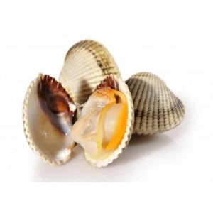 selectamar_pescado_marisco_domicilio_gourmet_berberecho_gallego_2