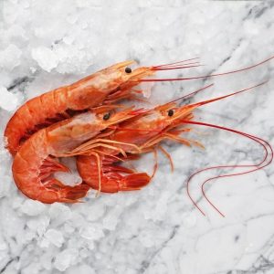 gambon-argentino-langostino-austral-1