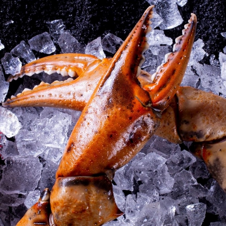 selectamar_pescado_marisco_domicilio_gourmet_bocas_cangrejo_1